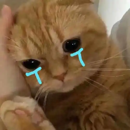 流泪猫猫头
