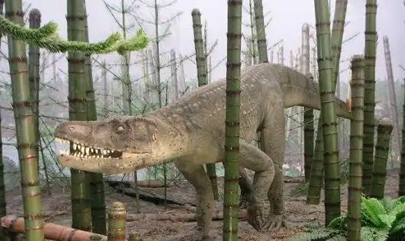 瞧撕蛙鳄的科普文来了