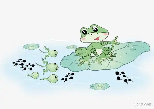 小蝌蚪找妈妈png素材透明免抠图片-动植人物