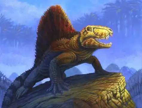 p>异齿龙又名异齿兽,长棘龙,它是类似哺乳动物的盘龙类肉食动物,生活