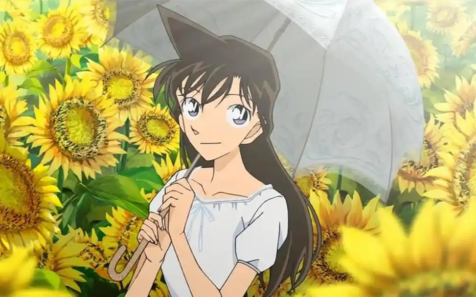 名侦探柯南小兰漫画图片,高清壁纸图片,动漫人物-回车桌面