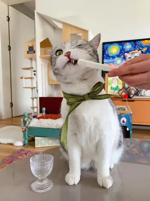 王泡芙的粉丝看过来