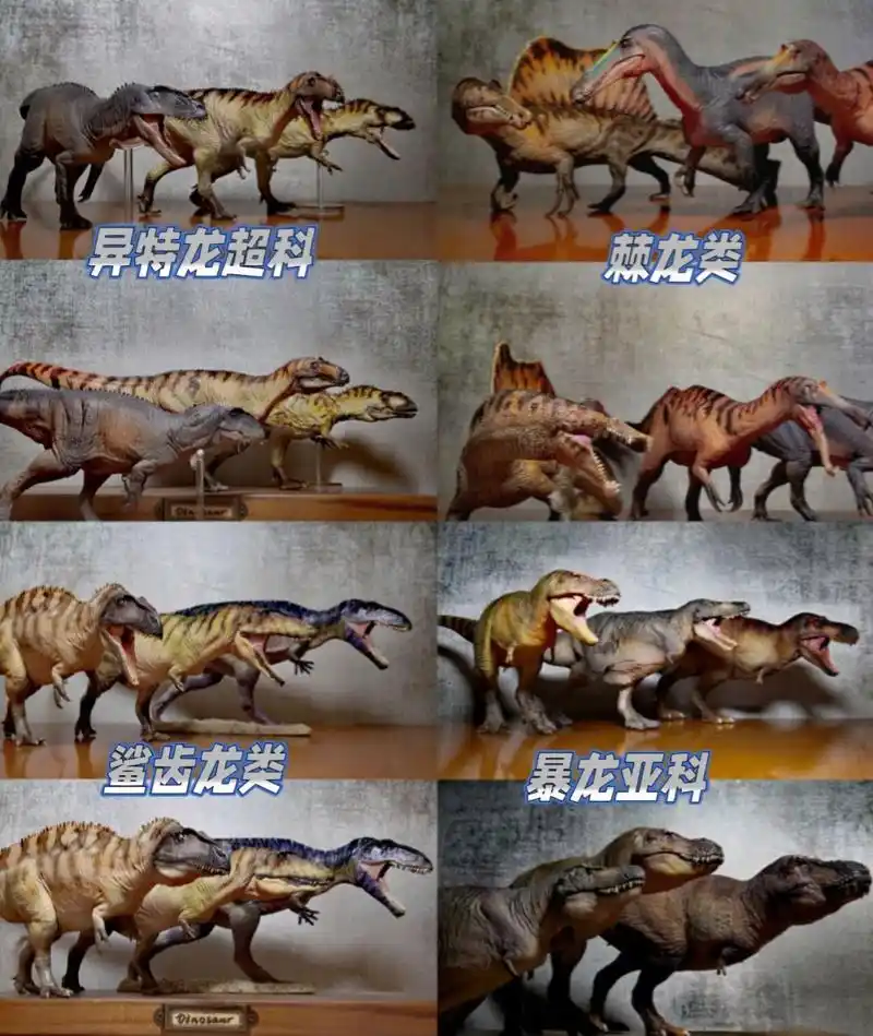 十二只兽脚类肉食恐龙 图二:中华盗龙,异特龙,永川龙,永川龙属于早期