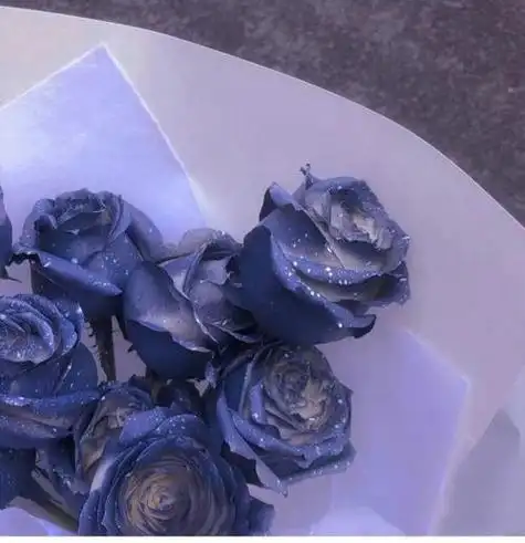 微信蓝玫瑰头像图片 微信头像图片大全 -【爱个性】