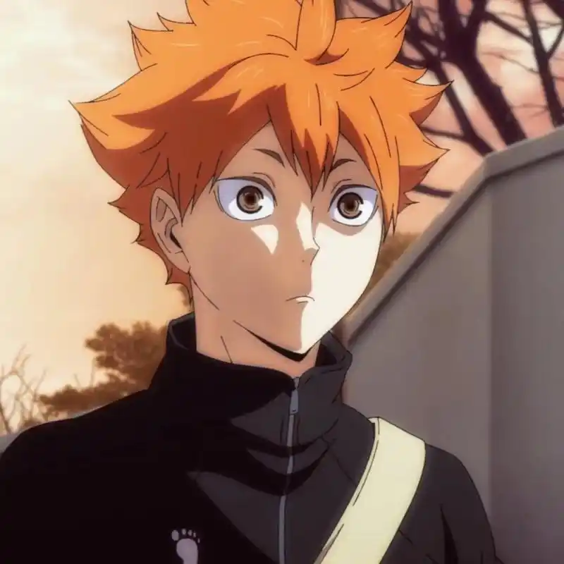 排球少年 #日向翔阳 小太阳头像! - 抖音