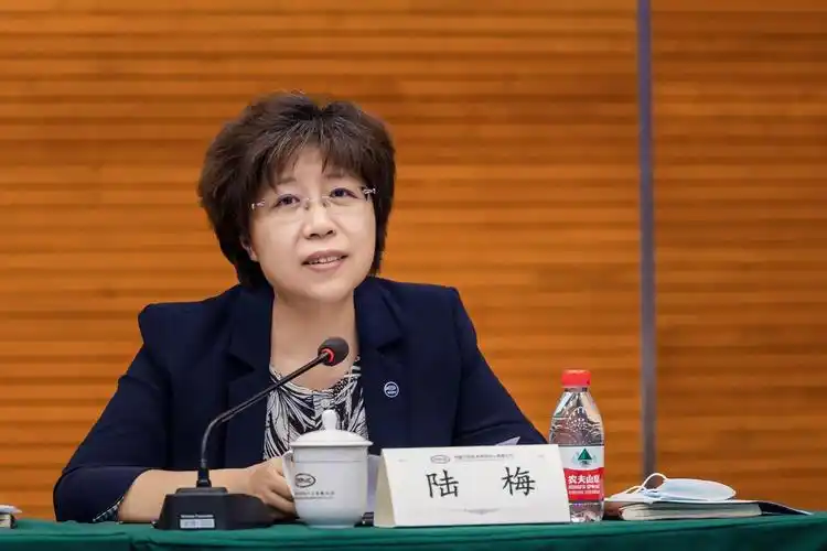 陆梅指出,本次活动促使国际中心思想认识更加统一,行动方向更加明确