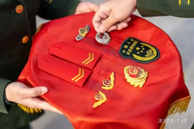 的世界里历练成长淬火成钢今后没有了肩章和领花也依旧挺立在初春的晨