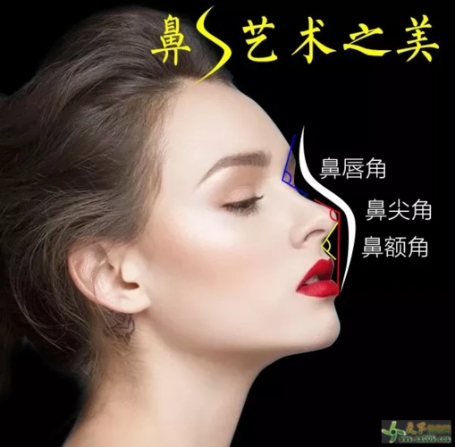0 鼻s艺术之美   关于脸型的美观,鼻子的形态很重要,标准的美鼻是这样