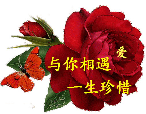 对彼此的牵挂使我们的心紧紧靠在一起天涯海角,我都祝福你万水千山,我