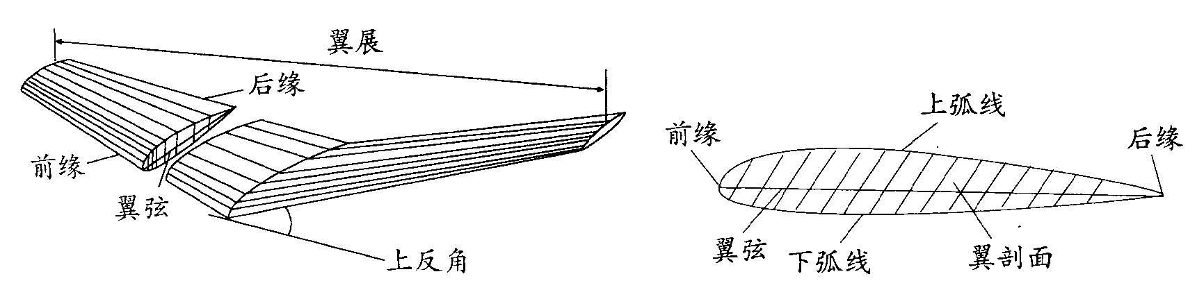 文档下载 所有分类 > 模型飞机原理讲义前缘:机翼的前边缘;后缘:机翼