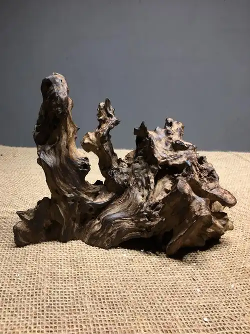 原生态风化枯木树根朽木随形根雕摆件禅意家居玄关软装电视柜装饰