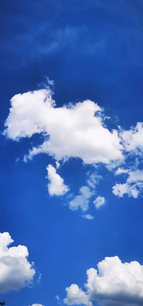 蓝色天空 - 花粉随手拍超感知影像 花粉俱乐部