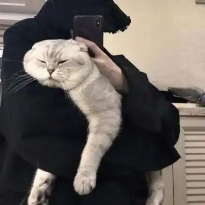 ins抱猫系列男生头像 我想见你_男生头像_我要个性网