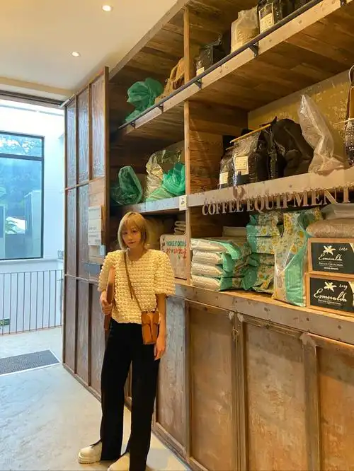 为什么会有人说immi性价比低呀