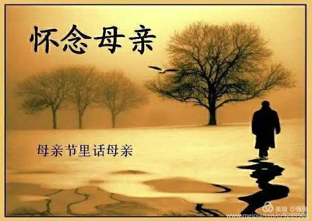怀念母亲……母亲节里话母亲