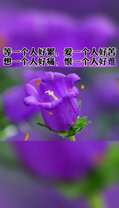 等一个人好累,爱一个人好难