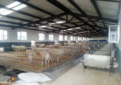 常见的六种羊舍类型