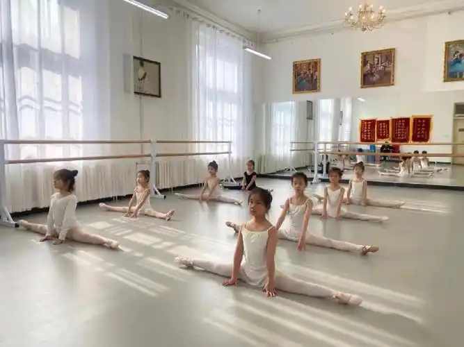 959595基本功的要求,并不是体现在"一个月内下叉","一周内下腰"