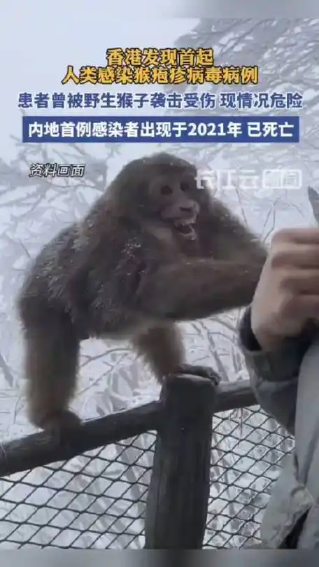 香港发现首例人类感染猴疱疹病毒|香港|新冠肺炎_新浪新闻