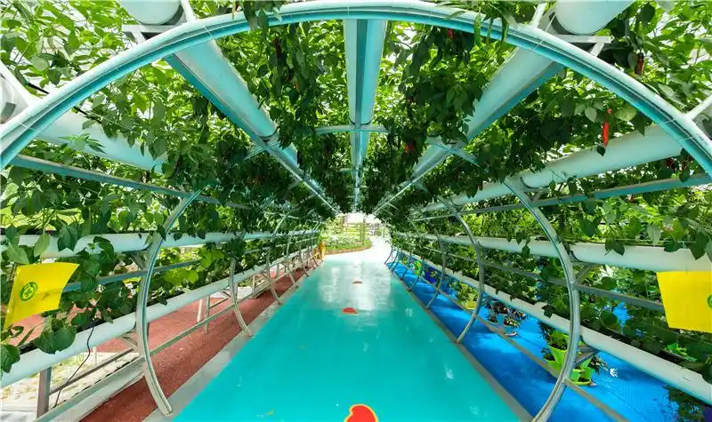 益阳现代农业示范园