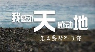 感动天感动地