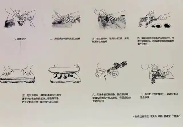 【福利】小布送票!这片神奇的树林,等你去"探秘"