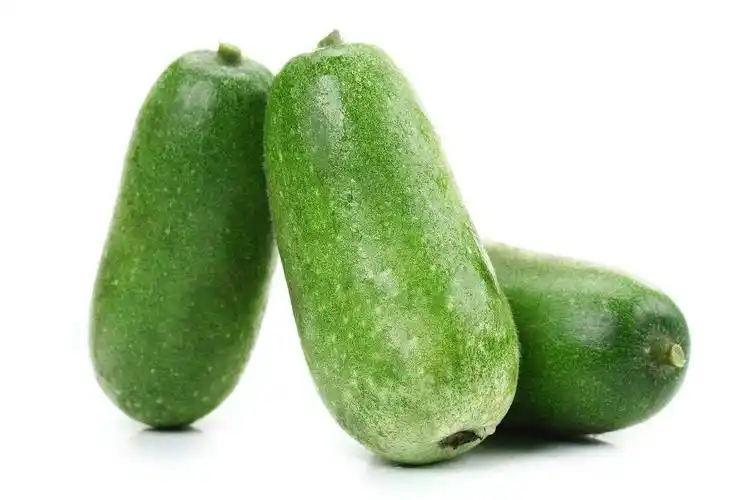 小冬瓜(吊冬瓜)基地批发,量大价优,合作社经营,欢迎采购