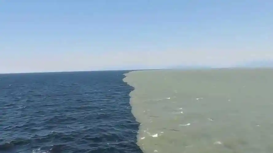 大海的分界线一半是黄色一半是蓝色大自然也太神奇了