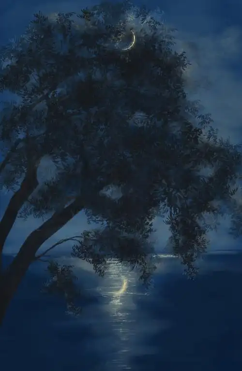 宁静的夜晚,月光洒在湖面上,我在湖边的树下看着湖面上月亮的倒影和