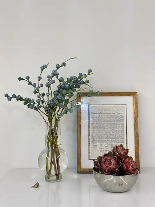 清冷又高级～尤加利果花语:恩赐和回忆果实为灰绿色,有一种特殊香味