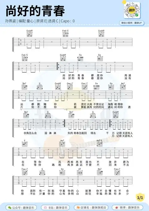 尚好的青春吉他谱