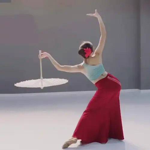 傣族舞蹈裙练功裙艺考服装鱼尾裙