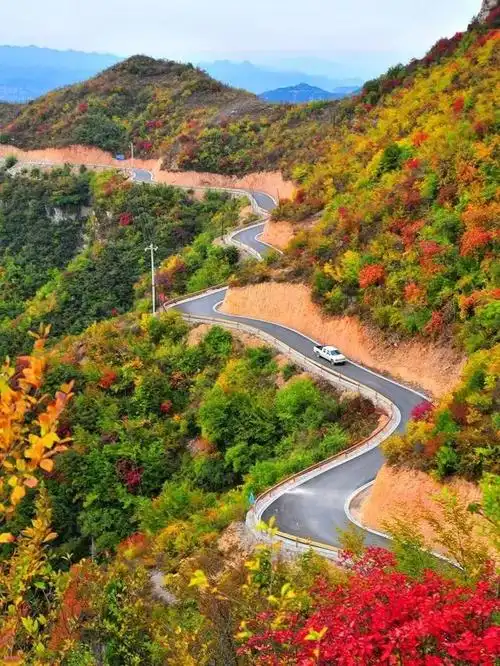 宁波最美自驾线路,沿路美成仙境