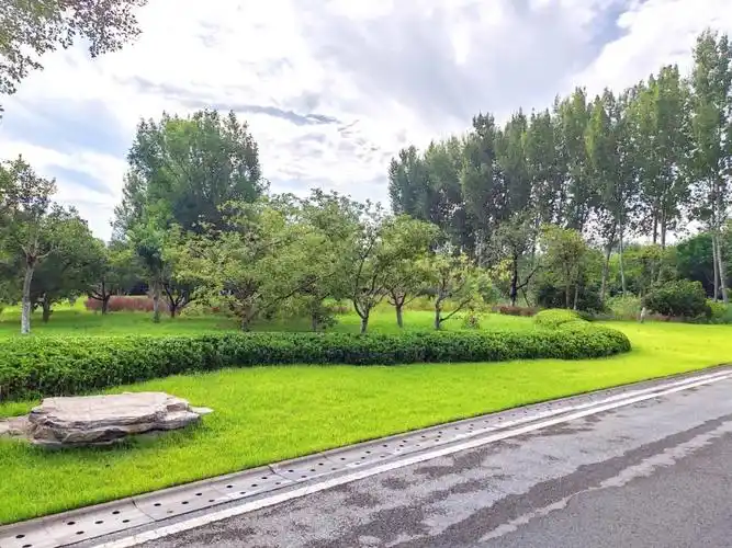 聊城市城市管理局 - 园林绿化 - "园"动力丨加强精细化夏季养护 打造