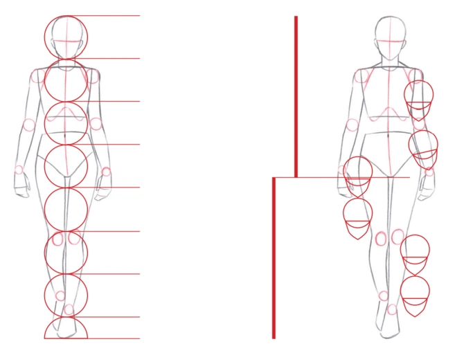 漫画人物结构画不好?看看别人是怎么画的(强烈建议收藏)