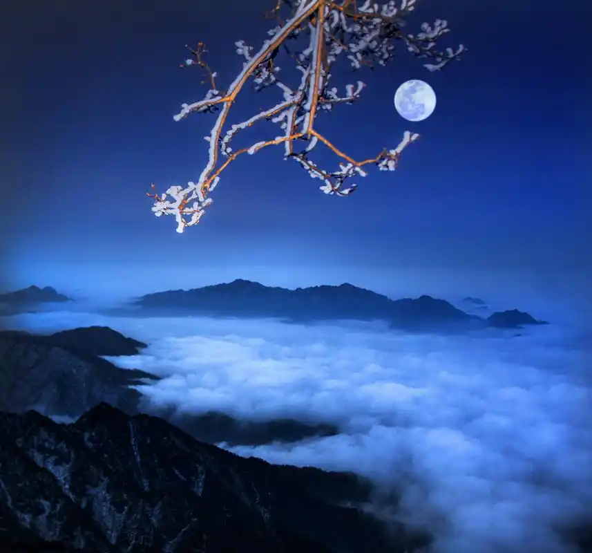 十五的月儿十六圆,摄影师拍最圆的月亮,诗情画意让人遐想