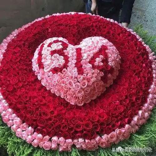 从1-9394朵玫瑰花语加图片大全,送花,原来这么多讲究!