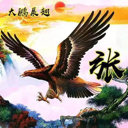 励志百家姓氏头像,大鹏展翅,大展宏图令人陶醉风景微信姓氏头像,蓝天