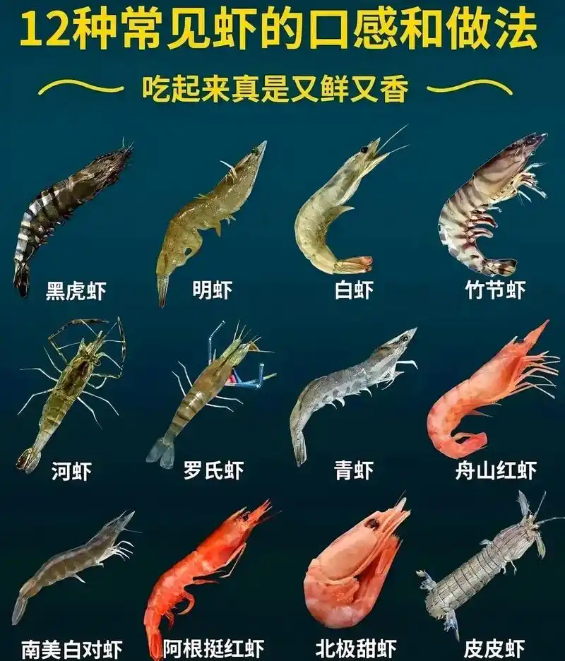 市场常见常买的各种虾,你吃过几种? 黑虎虾也叫黑斑节,口感不错但比起