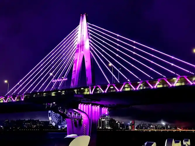 夜幕中的八一大桥