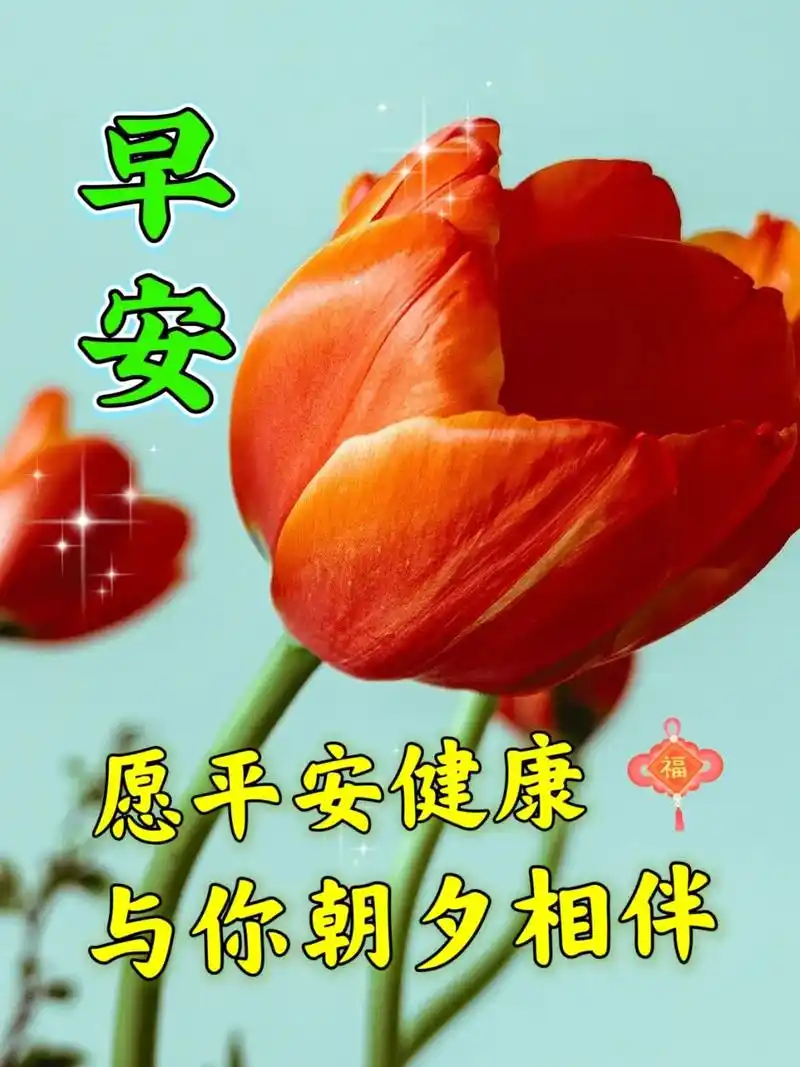 令人感到温暖的正能量问候语,免打字好看的早上好表情包图片