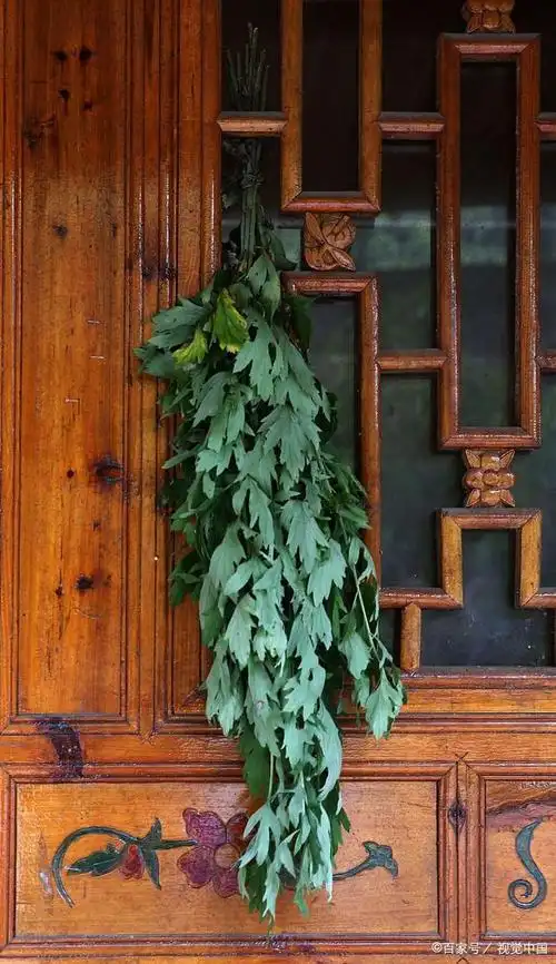 80后们也开始挂艾草啦!端午节