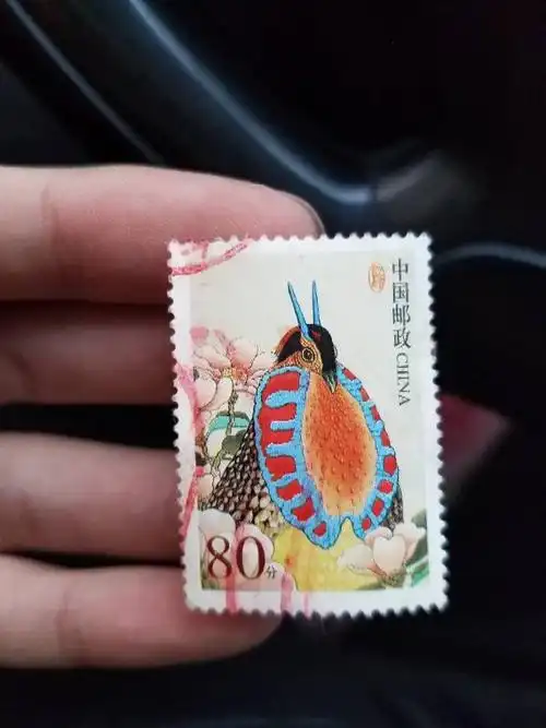 15:38   最佳答案 普31:80分邮票面值的"中国鸟——黄腹角雉 单张使用