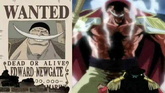 no.3 白胡子的悬赏令