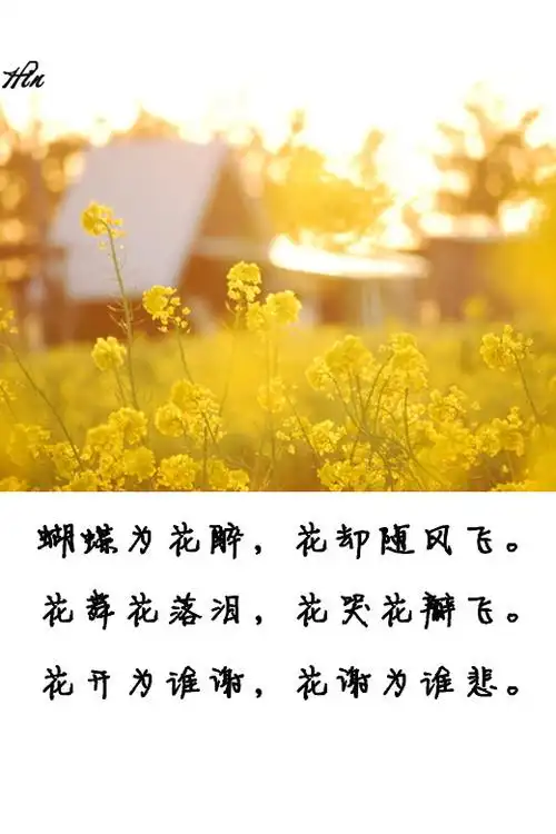 蝴蝶为花醉花却随风飞花舞花落泪花哭花瓣飞花开为谁谢花谢为谁悲