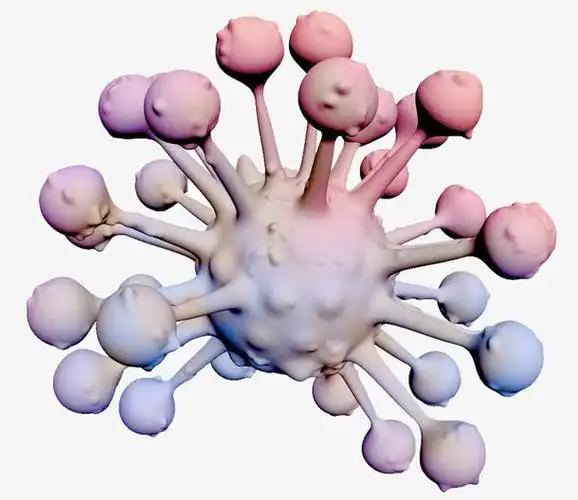 肾母细胞瘤化疗后吃什么比较好