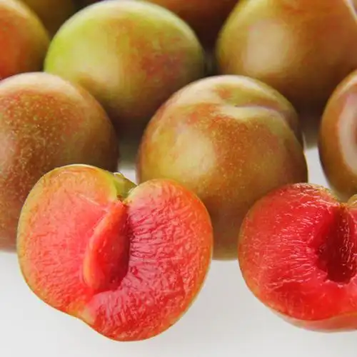 新鲜水果胭脂李 500g