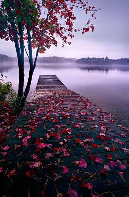 湖之畔桥之边唯美意境高清图片