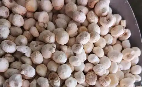 如何才能像许半夏一样野蛮生长