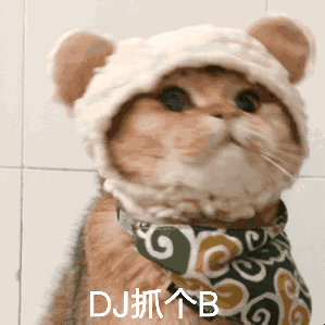 1月11日 0:21   关注  喵喵动图表情包 评论 收藏